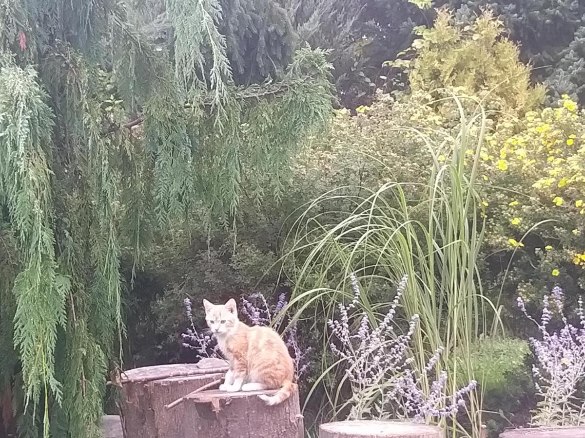 Domek Na Skraju Wsi Dostep Do Jeziora Ublik Villa Konopki Wielkie Bagian luar foto