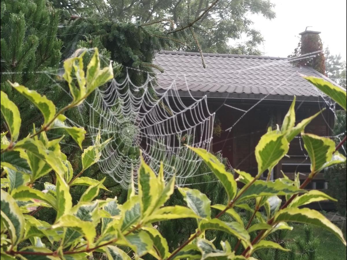 Domek Na Skraju Wsi Dostep Do Jeziora Ublik Villa Konopki Wielkie Bagian luar foto