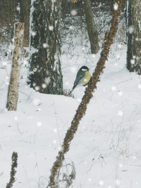 Domek Na Skraju Wsi Dostep Do Jeziora Ublik Villa Konopki Wielkie Bagian luar foto