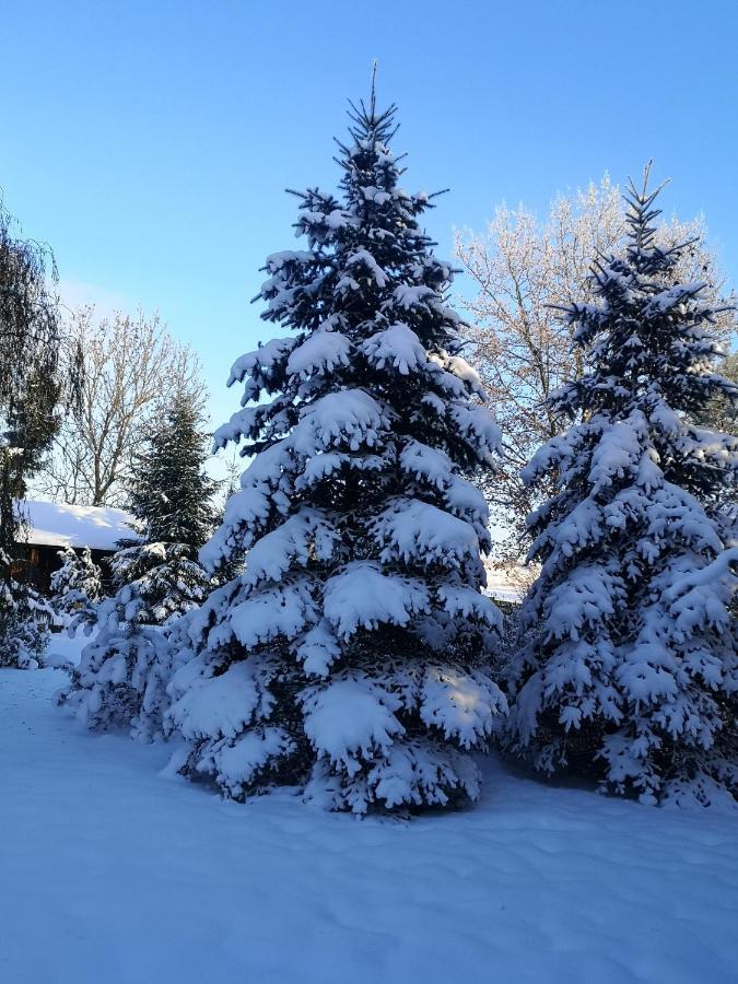 Domek Na Skraju Wsi Dostep Do Jeziora Ublik Villa Konopki Wielkie Bagian luar foto